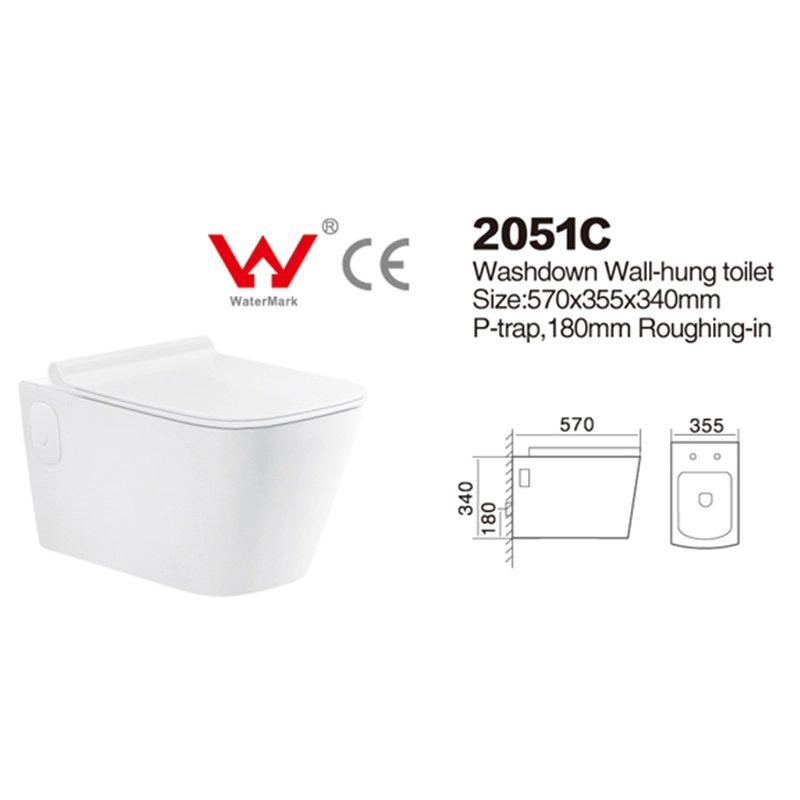 2051C | AU Certified Toilets | Washdown Wall-hung 1