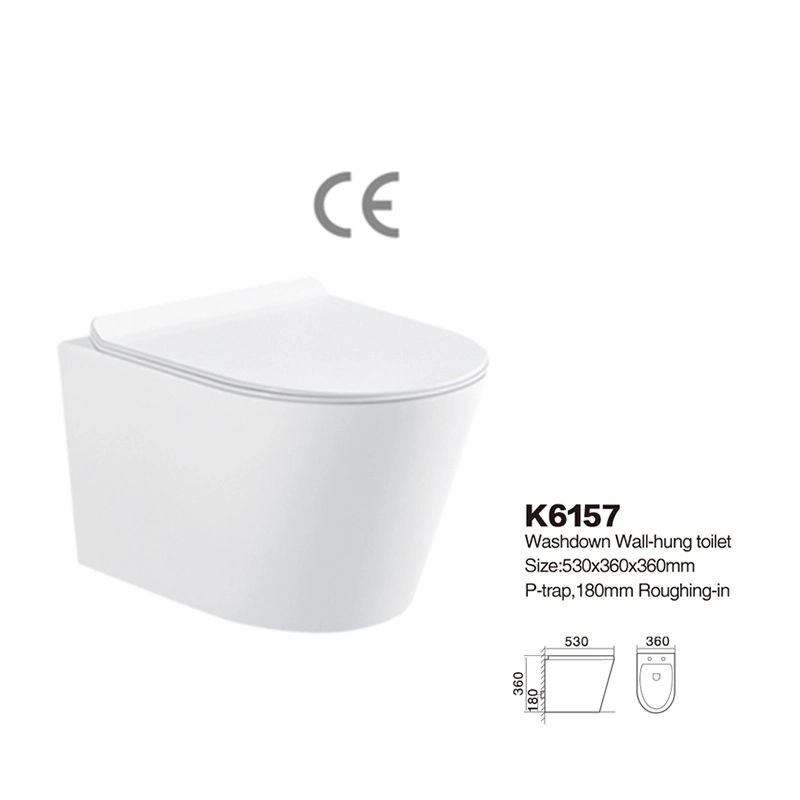 K6157 | CE Certified Toilets | Washdown Wall-hung 1
