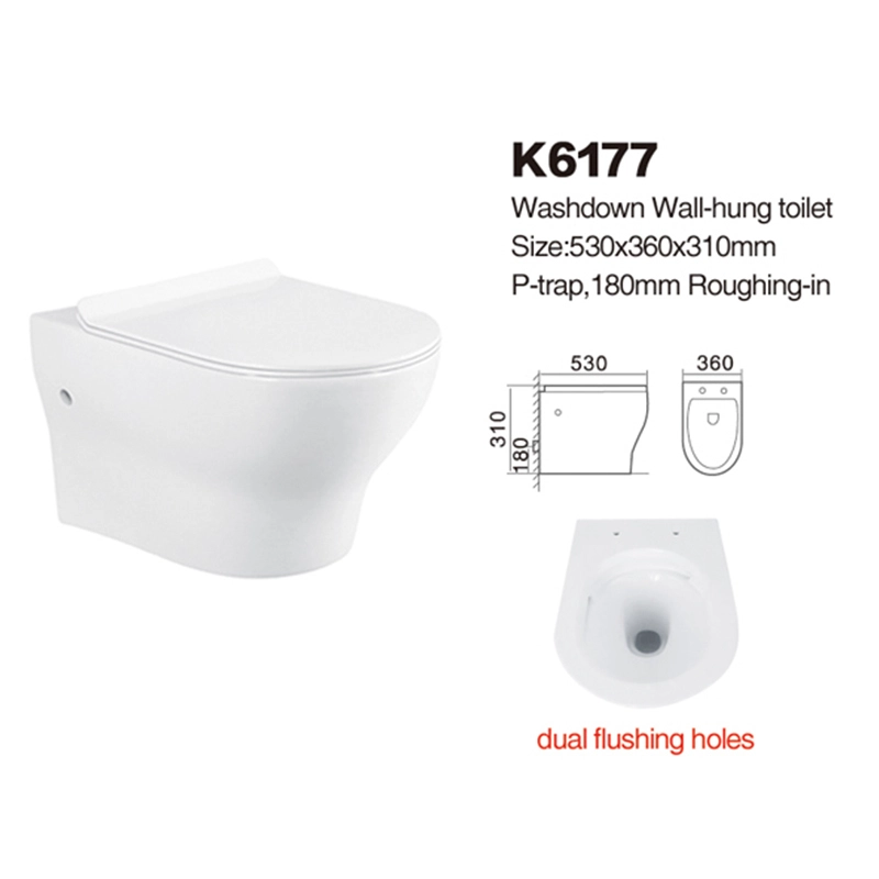 K6177 | Wall-hung Toilets | Washdown Toilets 1