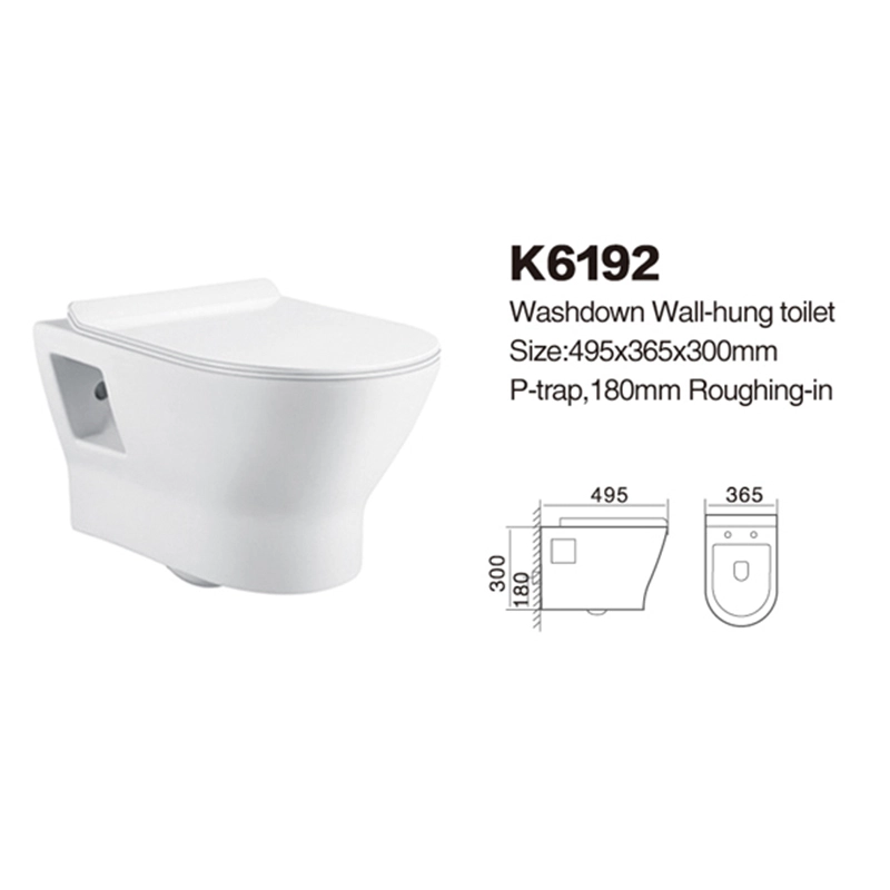 K6192 | Wall-hung Toilets | Washdown Toilets 1