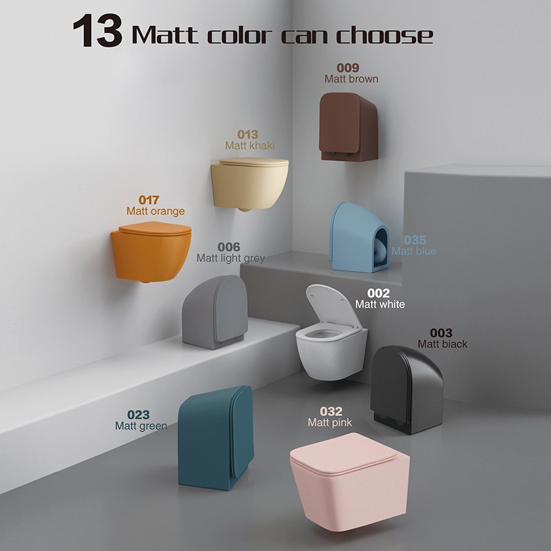 002 | Matt Color Washdown Wall-hung Closet 1