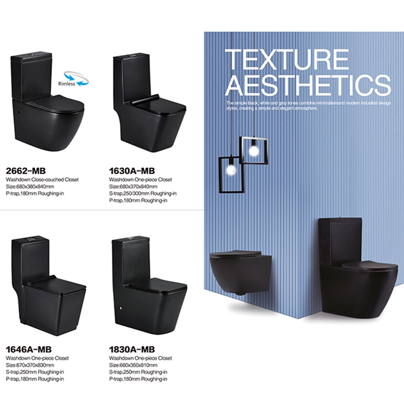2662MB | Washdown Close-couched Closet 1