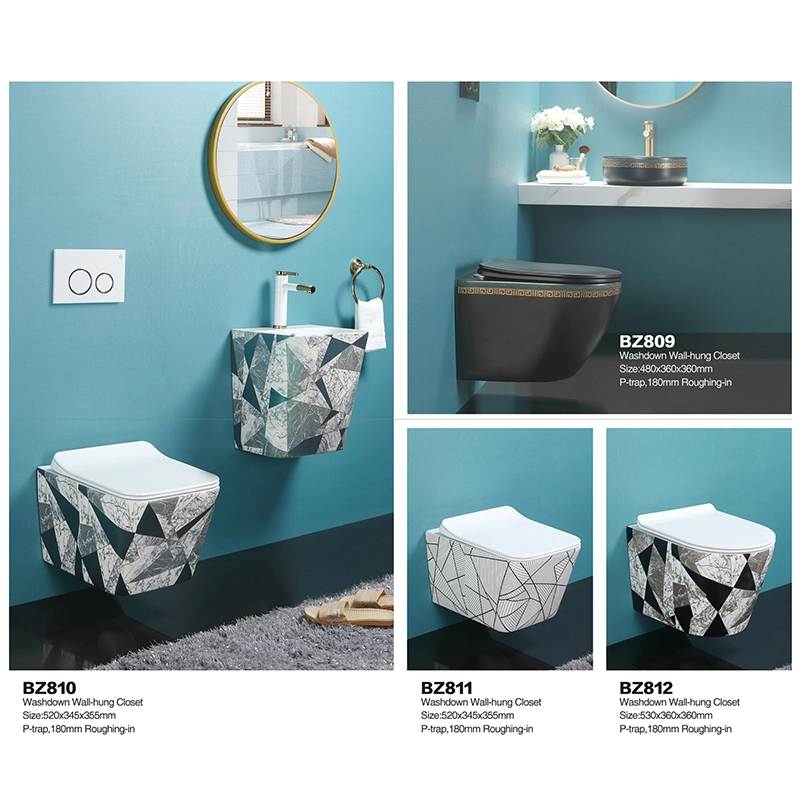 BZ810 | Washdown Wall-hung Closet 1