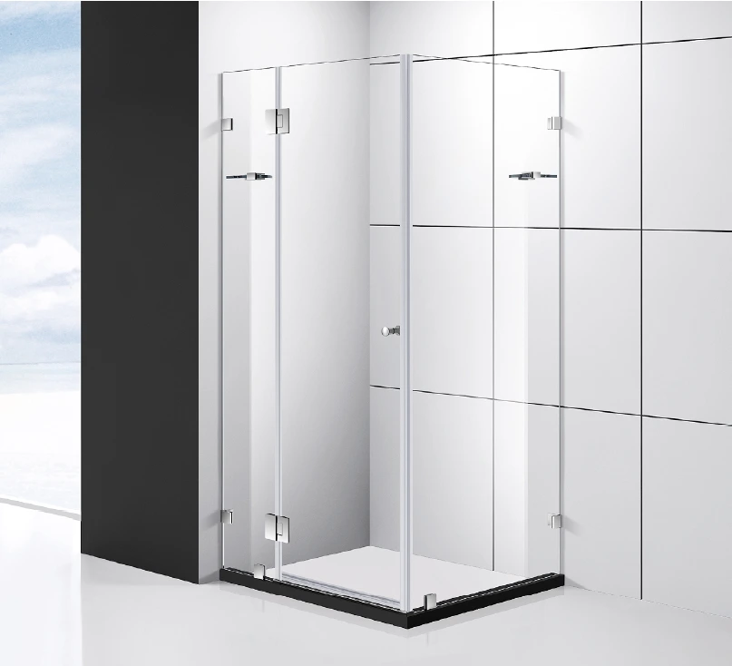 WWHR | Shower Door | Frameless hinge door 1