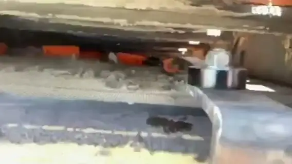 Varillas desobstruidas K para criba vibratoria, solución para el cribado de material húmedo en minería. 1