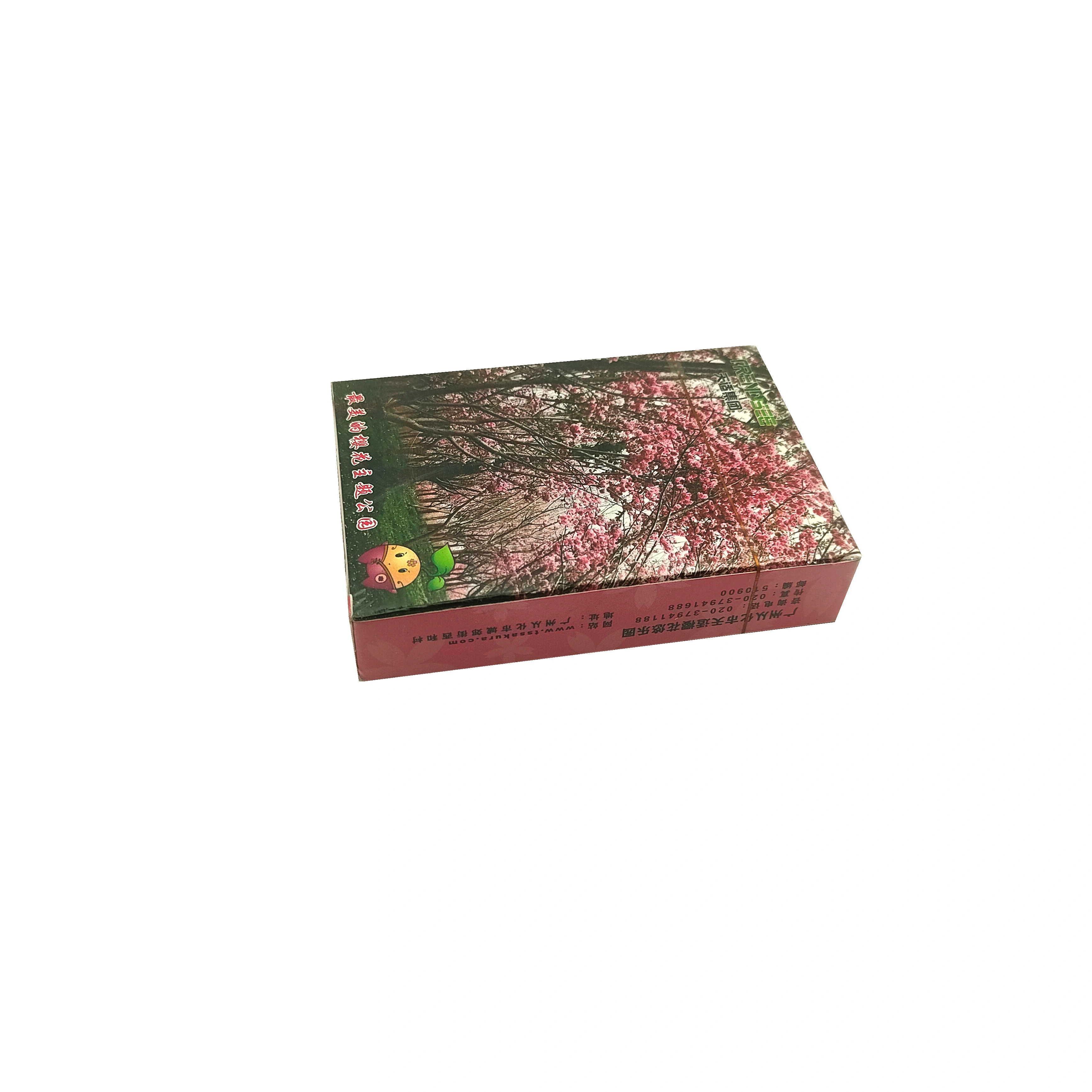 MA ZAI FEI Tianshi Sakura Amusement Park  Playing Cards 1
