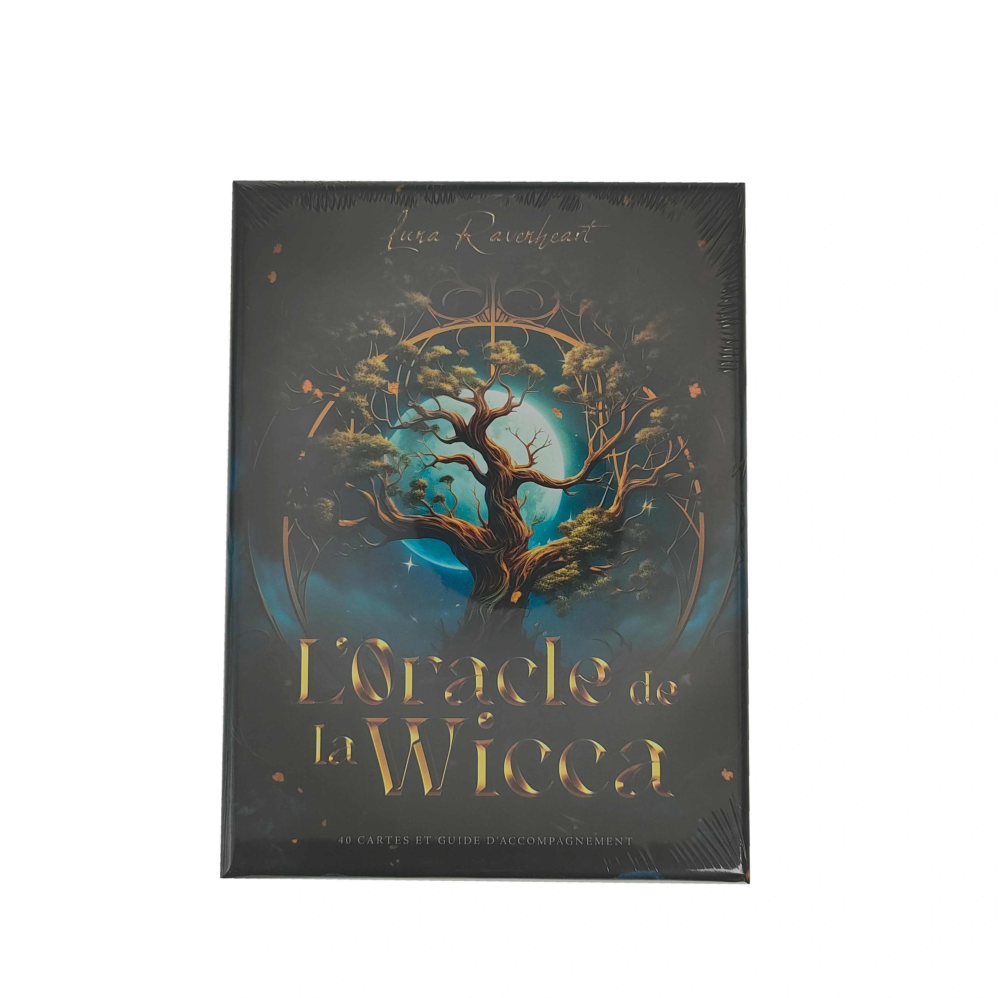 MA ZAI FEI Loracle de laWiCCa Tarot Size Custom Cards (Blank Cards) 1