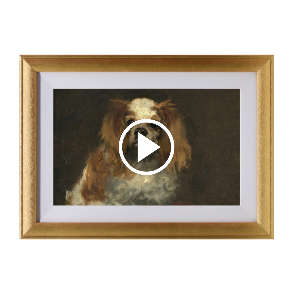 10.1 Talking AI Photo Frame with Interactive AI Character, Eye-Care Display & Smart Control 1