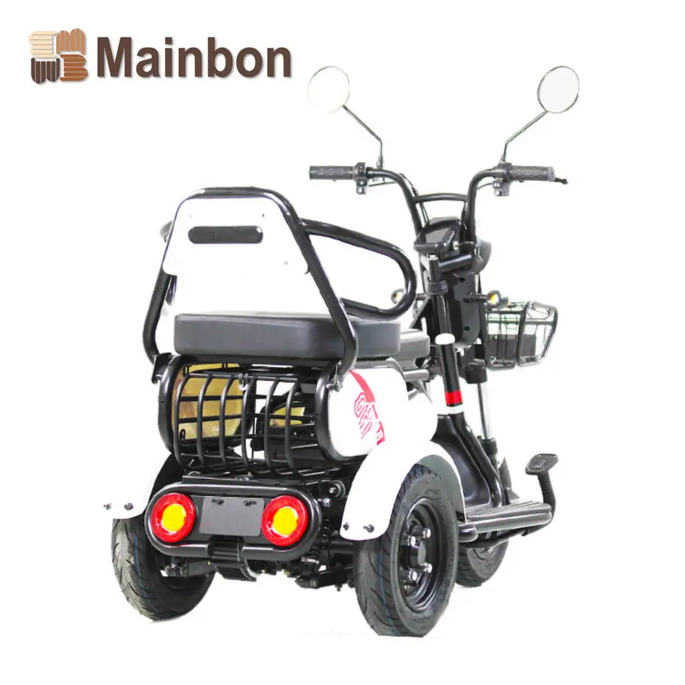 Powered Tricycle for Passenger Elderly People F1 1
