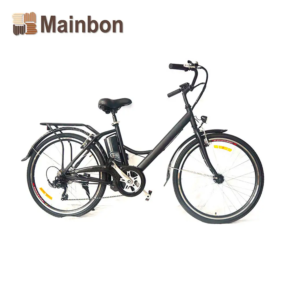 Custom New Electric Bicycle City Model 1