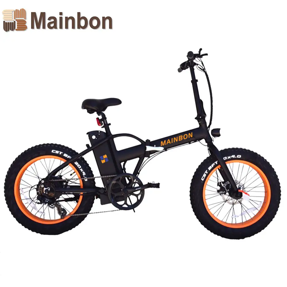 Best Selling Fat Tire Electric Bicycle 20 inch 1