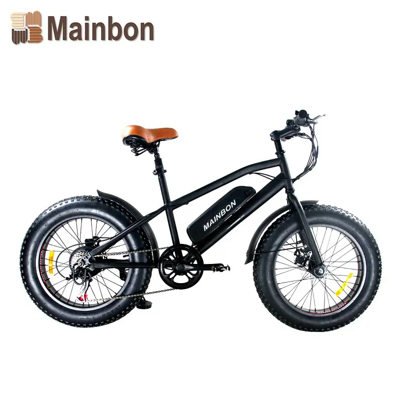 20 Inch Electric Bicycle Retailers Most Popular Fat Tire Snow Bike 1