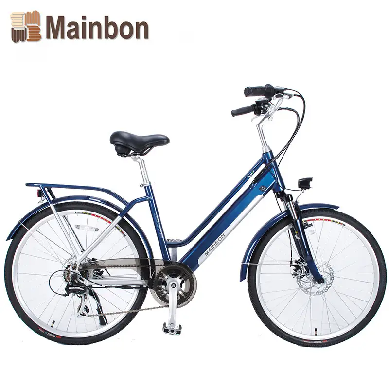 Custom Electric Bicycle Aluminum Alloy Electric Bike Manufacturer 1
