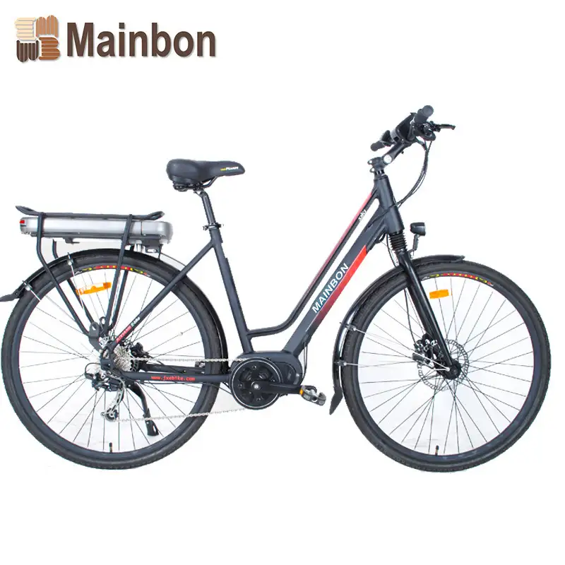 Custom Aluminum Alloy Lightweight Electric Bicycle Supplier 1