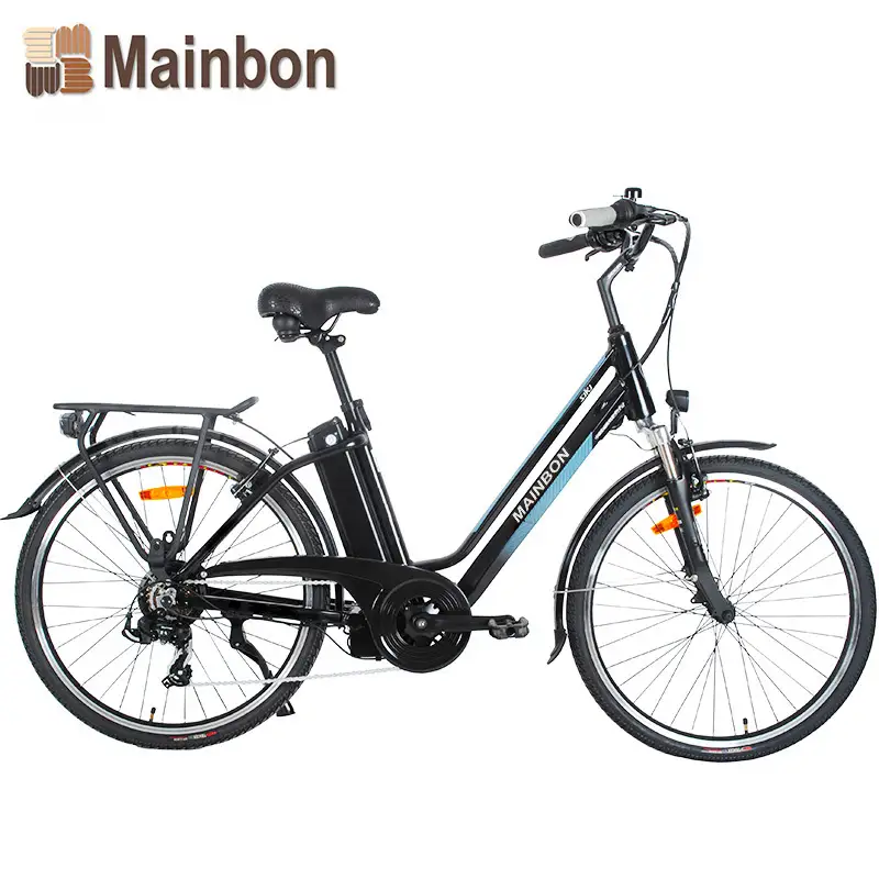 Customized Top 10 Electric Bicycles for Adults with Removable Lithium Battery 1