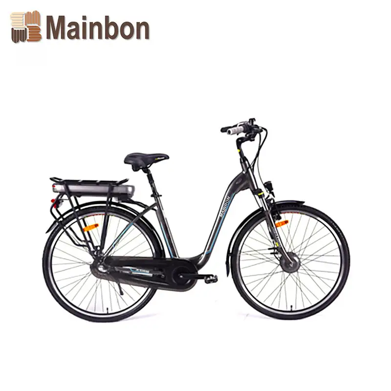 Customized Top 10 Electric Bicycles for Adults with Lithium Battery Supplier 1
