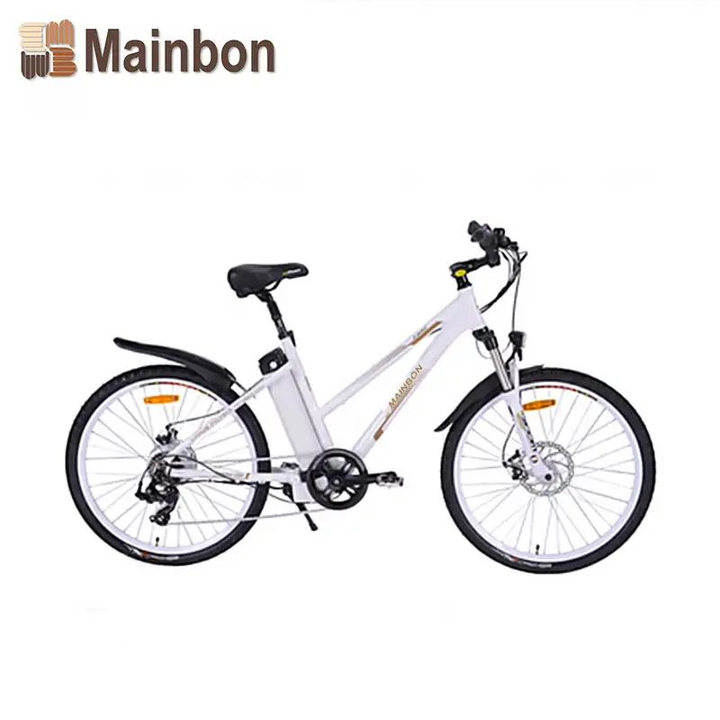 Customized Top Rated Electric Bicycles for Adults with Removable Lithium Battery 1