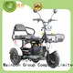 Mainbon Custom 3 wheel bike with motor for business for adults 1