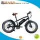 Wholesale cool electric bikes for sale top supply for rent 1