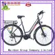 Best used electric bikes electric manufacturers for hunting 1