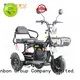 Latest adult three wheeler elderly factory for senior 1