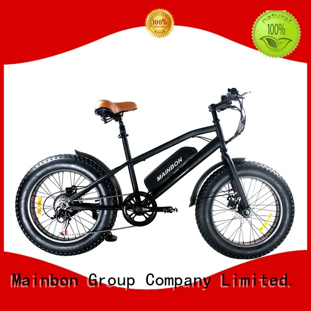 Best electric bike models cool supply for hunting 1