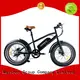 Best electric bike models cool supply for hunting 1