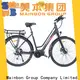 Custom the e bike cool suppliers for ladies 1