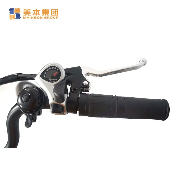 New latest e bikes bicycle factory for rent 3