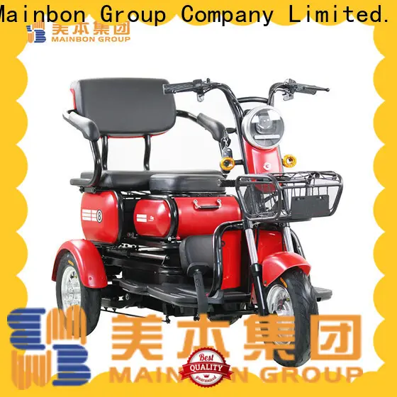 Mainbon double electric bike kit review suppliers for senior 1