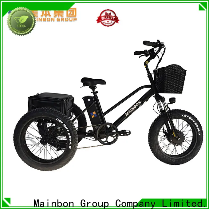 Custom tandem bike model for business for ladies 1