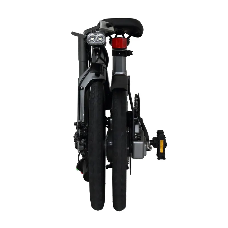 New electric bicycle online bicycle for business for rent 2