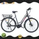 Mainbon electric ebike conversion company for rent 1