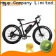 High-quality best lightweight electric bike cool for business for hunting 1