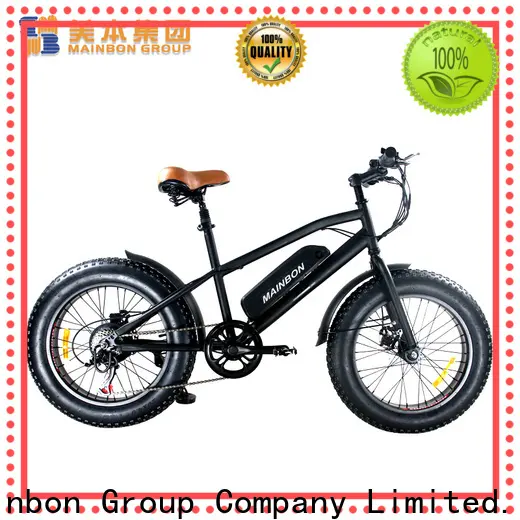 Latest electric bicycle low price electric supply for ladies 1