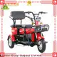 High-quality cheap electric bicycles f1 for business for adults 1