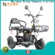 Mainbon Latest three wheel electric bicycles adults for business for adults 1