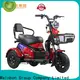 Mainbon 250w adult motorized trike manufacturers for adults 1