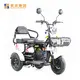 Mainbon adults foldable electric trike supply for senior 1