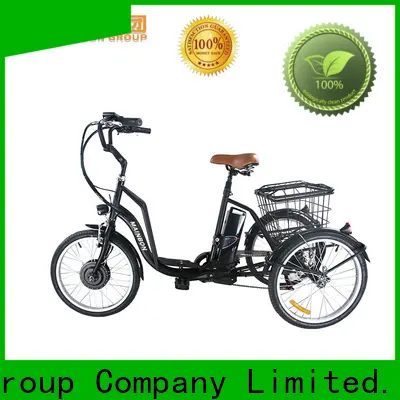 Custom electric bicycle shop electric company for ladies 1