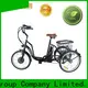 Custom electric bicycle shop electric company for ladies 1