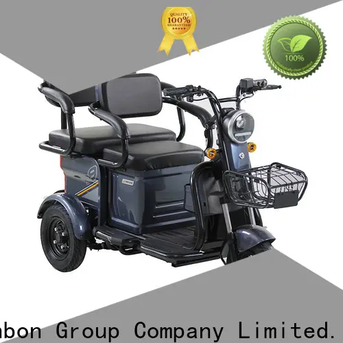Wholesale three wheel bicycle with basket passenger suppliers for adults 1