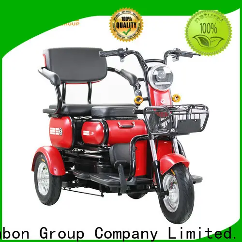 Mainbon f1 convert bicycle to electric suppliers for senior 1