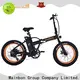 Latest electric bike cycle bicycle supply for ladies 1