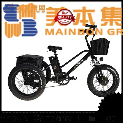 Custom ev bicycle city manufacturers for kids 1