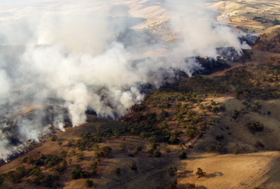 Firefighting drone and unmanned vehicle 3