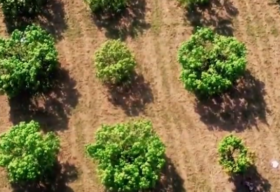 Agricultural Drones 7