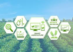 Agricultural Drones 6