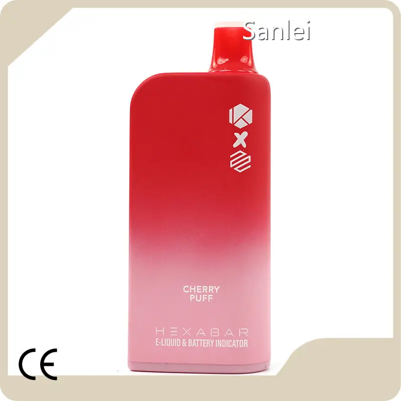 Hot Saledisposable E Cigarettes for Adults 1