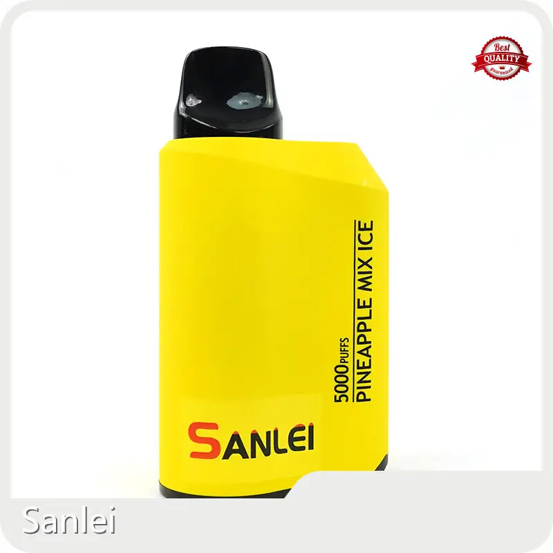 OEM Disposable Ecigarette Disposable Ecigarette Company 1